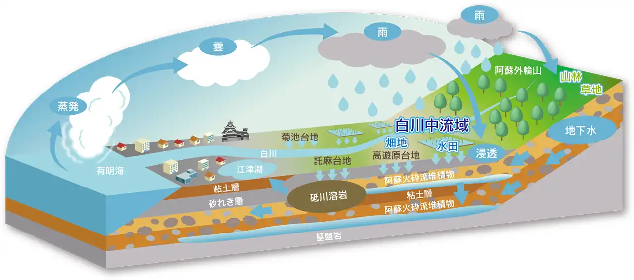 水の循環